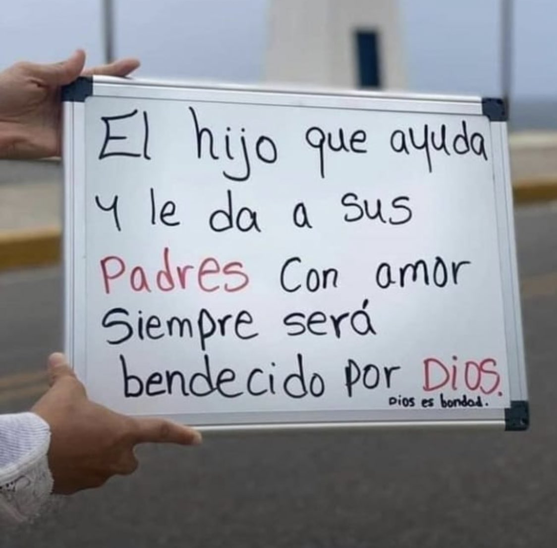 𝑻𝒆𝒙𝒕𝒐𝒔💭 (@textoescrito_) on Twitter photo 