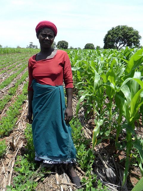 Did you know? 

Women in agriculture produce more than 50% of the world’s food and are responsible for at least 60% to 80%  of food production in developing countries.
