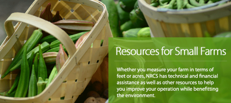USDA_NRCS's tweet photo. We have resources for farms of all shapes and sizes. https://t.co/eRjoYOamfu https://t.co/TFcKG44t8E
