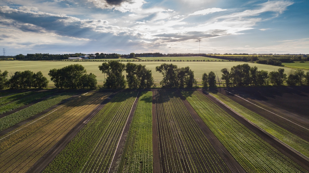 Did you know that our farm is within Edmonton’s boundaries? In fact, it is the easternmost point in the city!