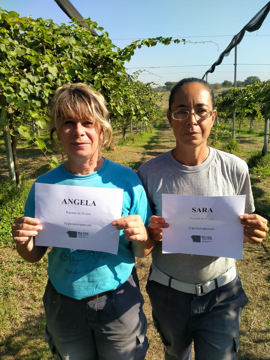 flc_crea's tweet photo. Onorevole @AlexMelicchio potrà affermare piena soddisfazione per il Piano di reclutamento @CREA_Ricerca solo quando sarà risolta la situazione degli #operaiagricoli (operatori tecnici) figure professionali fondamentali per l'attività di ricerca #operainoprecari https://t.co/HLKzHNdgd7