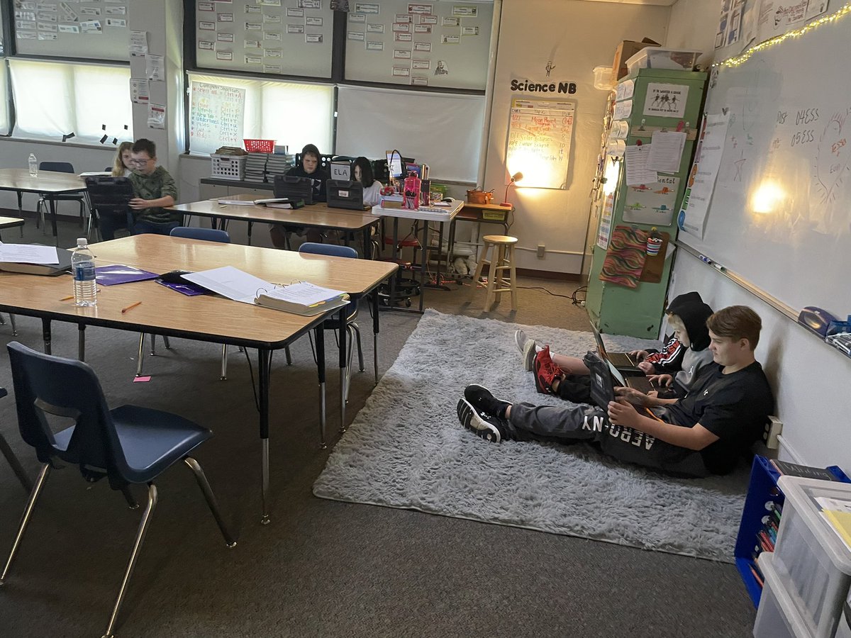 Sara Shaner tweet media