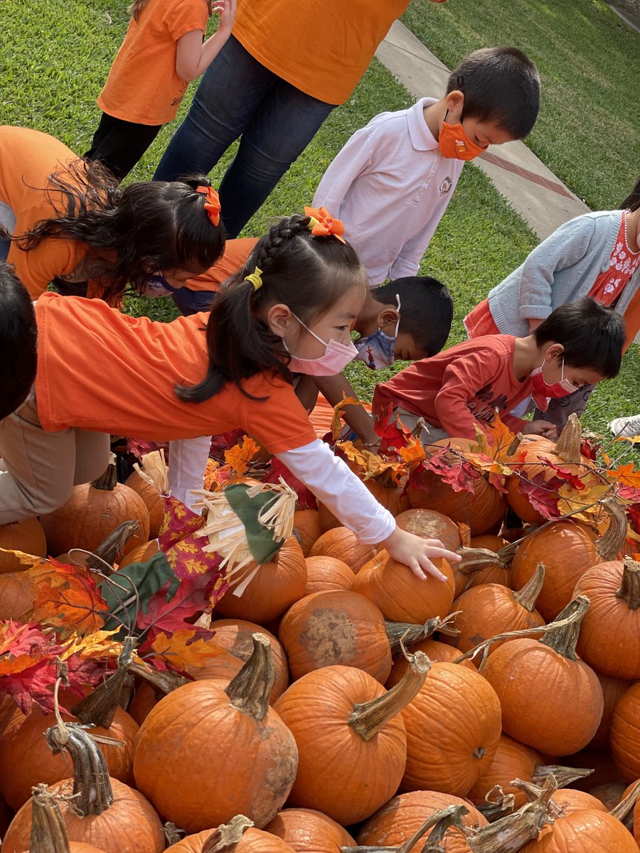 HonorRollSchool's tweet photo. Our annual Partners sponsored Pumpkin Patch was more wonderful than ever!  With hundreds of pumpkins and amazing parents supporting this fun event, even the weather cooperated this year making this the BEST Pumpkin Patch in town! https://t.co/qT1A89QF3M