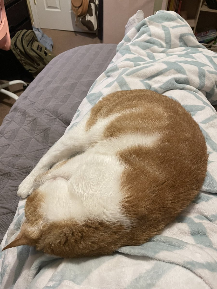 zoe_grant_'s tweet photo. if anyone from my group project sees this, im so sorry something came up I don’t think I can make it tonight https://t.co/RDLGgOLIQS