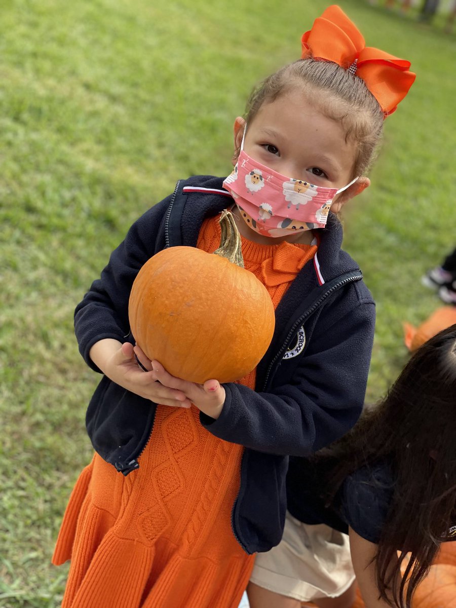 HonorRollSchool's tweet photo. Our annual Partners sponsored Pumpkin Patch was more wonderful than ever!  With hundreds of pumpkins and amazing parents supporting this fun event, even the weather cooperated this year making this the BEST Pumpkin Patch in town! https://t.co/qT1A89QF3M