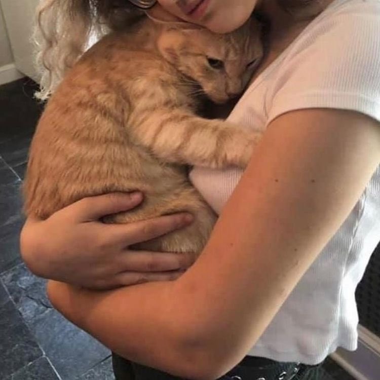 Out Of Context Animals (@cntxtanimai) on Twitter photo 