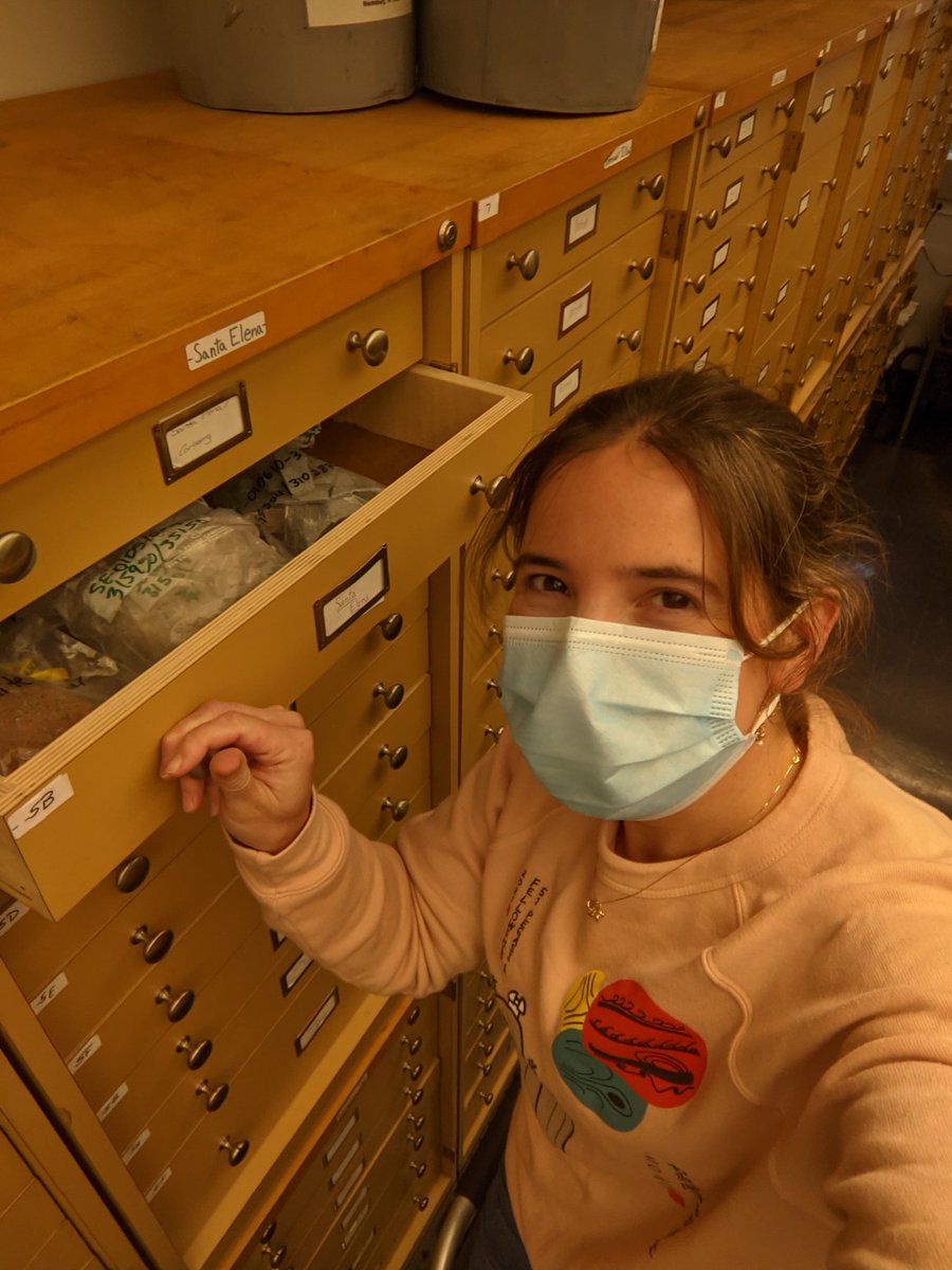 Dr. Emily First tweet media