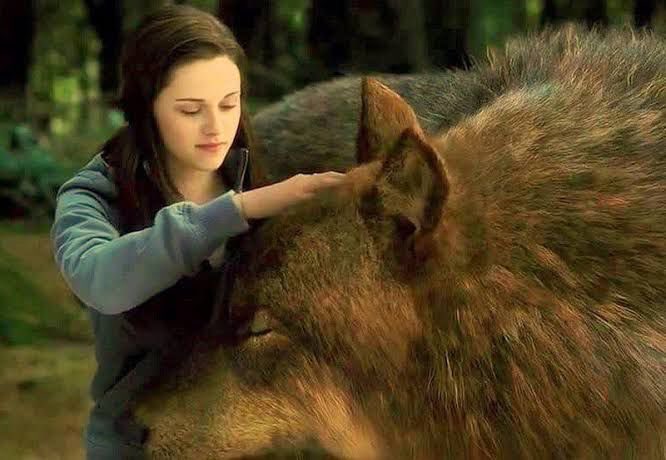 muselola_'s tweet photo. cada vez que veo a Lobo y Bela pienso automáticamente en esto: 

#LaÚltimaTentación6 https://t.co/SZYxYeZA0q