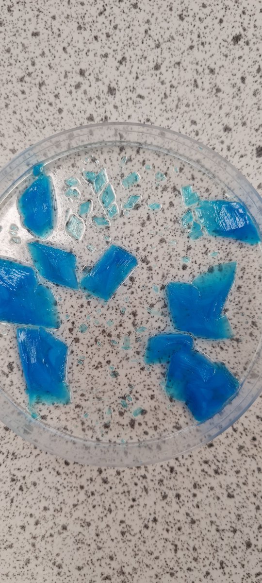 MrsGillJTHS's tweet photo. Simple but effective, much excitement in year 7 for their crystals #longmayitlast #crystalisation https://t.co/r4vFWFqVmF