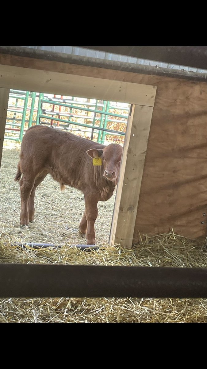 Altario school tweet media