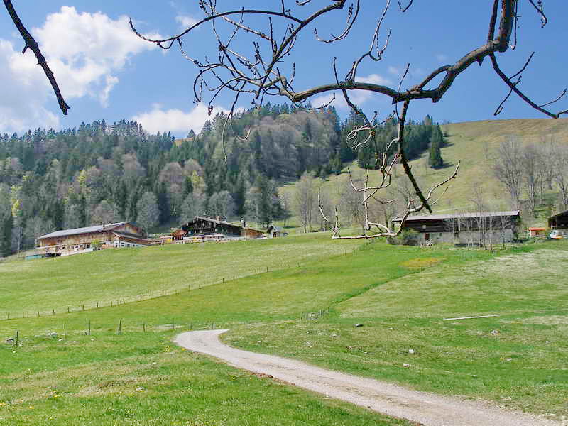 SamNachrichten's tweet photo. Der Philosophenweg ist eine von steilen Wänden eingerahmte Schlucht, durch die der Markbach in vielen Kaskaden, Wasserfällen und Gumpen ins Tal nach Fischbach fließt. Am eindrucksvollsten sind die Wassermassen nach Regenfällen.

https://t.co/AU5lsSYcsp https://t.co/bJ0tt5VOxY