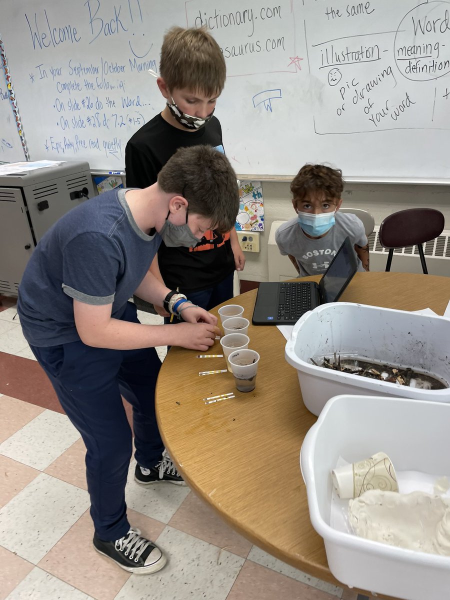 BethAnne DiFonso tweet media