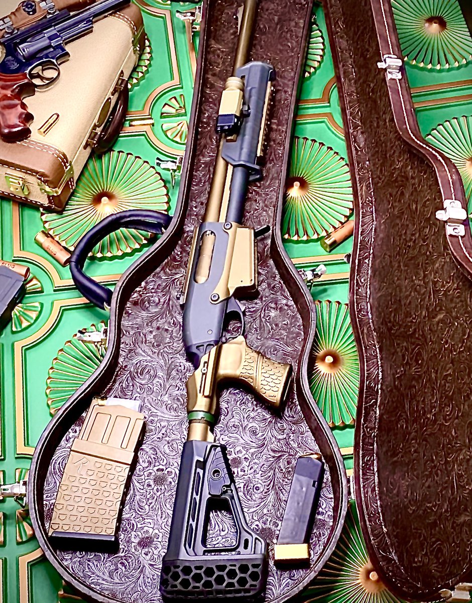 LowProCase's tweet photo. #guitarguncase #guitar #guncase #lowprocases #magneticguncase #shotgun #rifle #2a #ar15 #johnwick #desperado #revolver https://t.co/C4PmYsM8on
