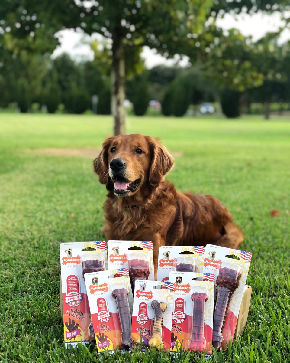 Alpha SAR (@alpha_sar) on Twitter photo K9 Marshall says to be sure to check your goodie bags! <a href="/Nylabone/">Nylabone Products</a> left a little surprise!! Thank you Nylabone for your donation.
#nylabone #goodiebag #alphasar #SAR #alphacon21 K9 Marshall says to be sure to check your goodie bags! <a href="/Nylabone/">Nylabone Products</a> left a little surprise!! Thank you Nylabone for your donation.
#nylabone #goodiebag #alphasar #SAR #alphacon21