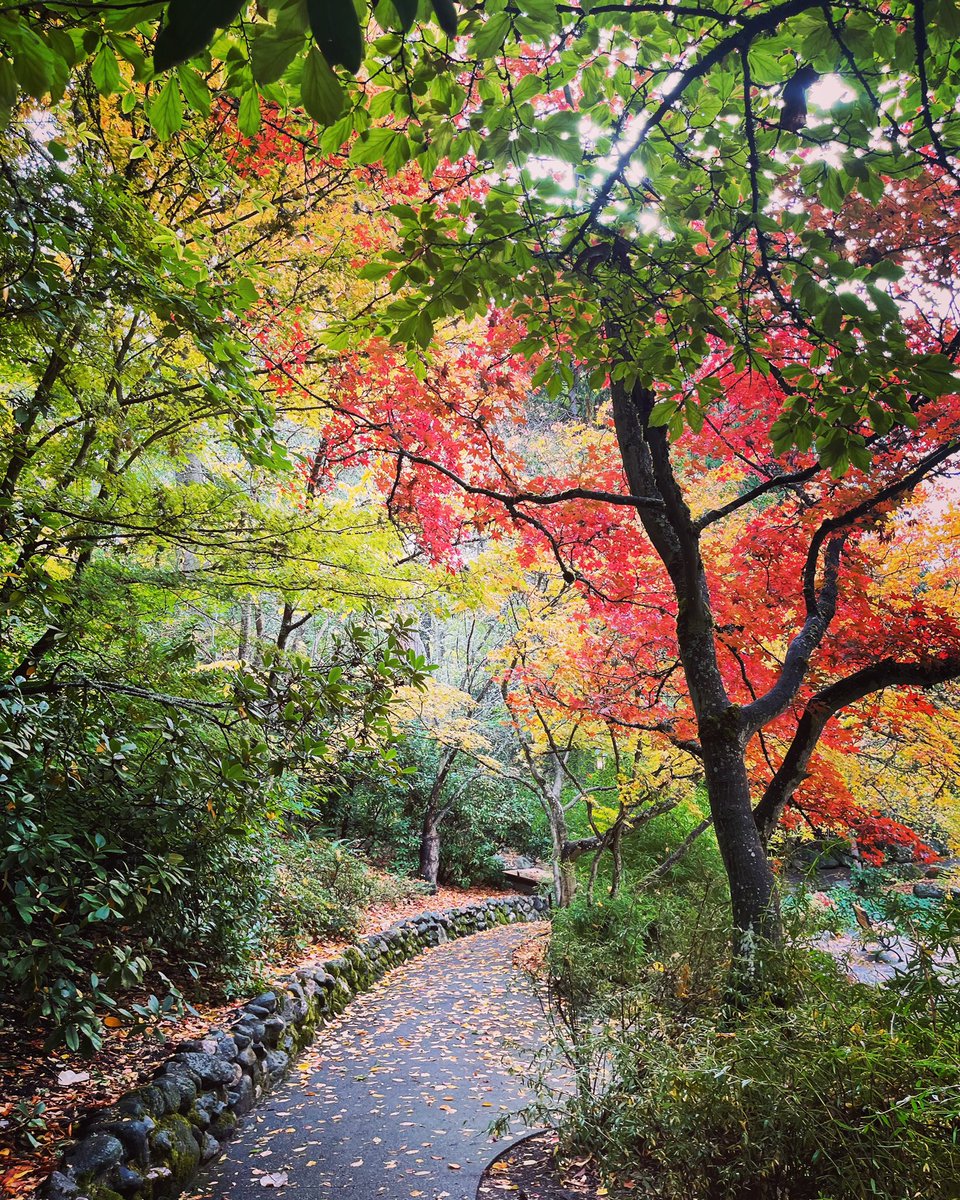 SOUAshland's tweet photo. Ashland is just *peak Fall* right now. 🍂🍁❤️🥰 https://t.co/CdIbMOZRtK
