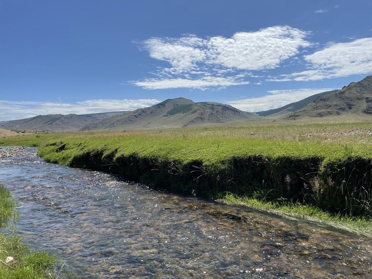 Өглөөний мэнд жиргээ 🤗🤗🤗