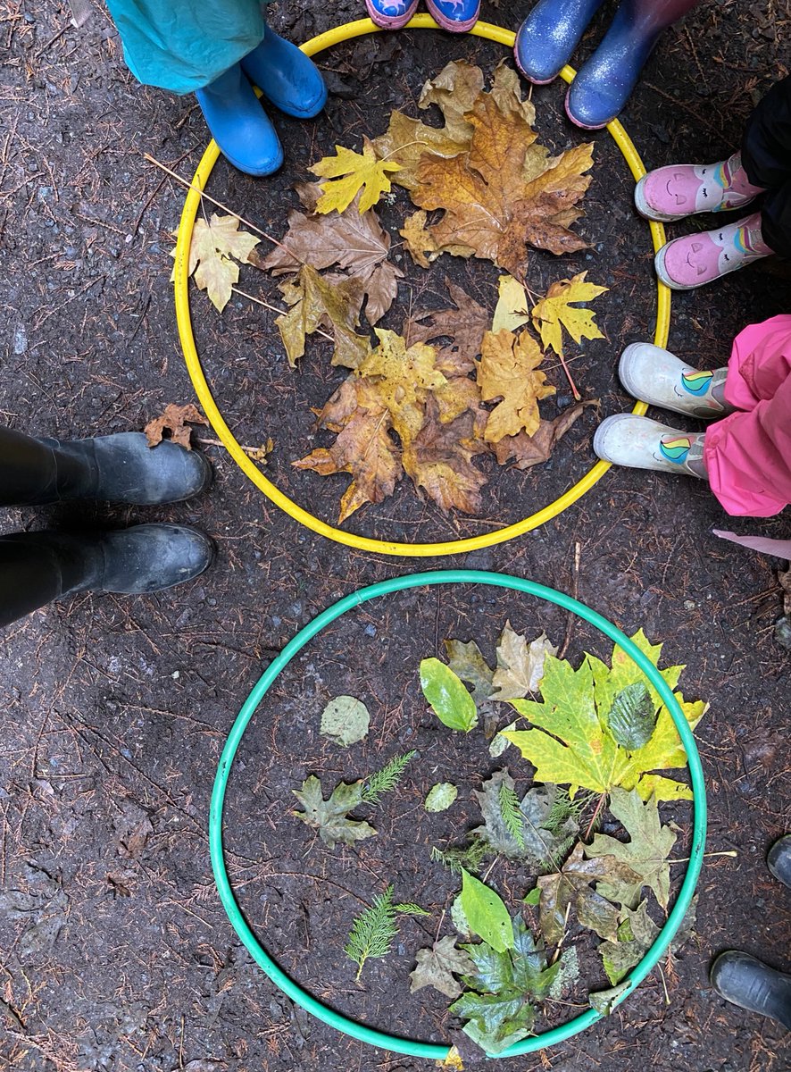 morganmonkman's tweet photo. Rain boots on for #TakeMeOutsideDay ☂ spent the morning outside in nature with these little learners. A beautiful example of sorting leaves by colour. #bced #outdoorlearning @SD62_Sooke https://t.co/Pg1I34EQv2