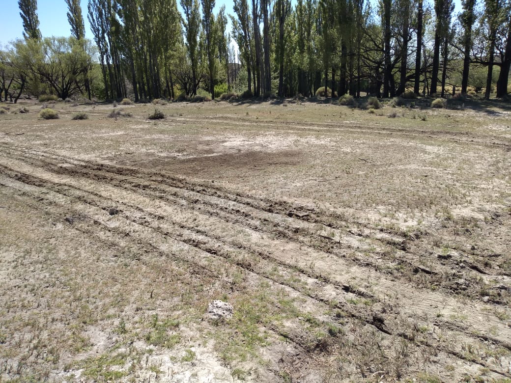 Lorden26327197's tweet photo. 🚜Siembra de pasturas con máquina Suri #NovaSiembra @INTAAgroind. 🌱Ensayo de fertilización orgánico- mineral @intaargentina + #Daasons @INTAVTYRI en sistemas de producción #AgriculturaFamiliar 👨🏻🌾👩🏻🌾 @INTACIPAF
🤠📸 Javier Ferrari @IntaBariloche https://t.co/8sLCsgkM3j