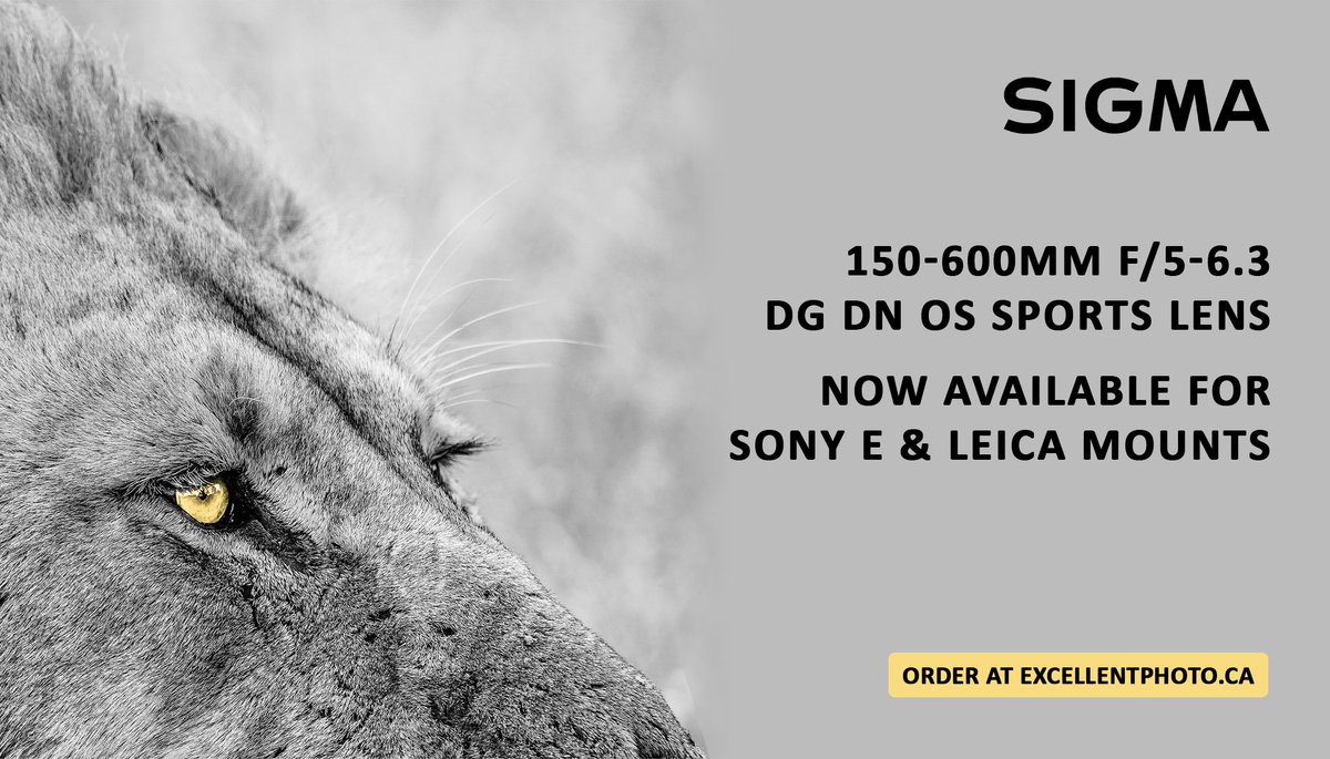 Excellentphoto3's tweet photo. Guess what's finally available for #SonyE and #Leica mounts, and in stock? It's #Sigma's famous 150-600mm F5-6.3 DG DN OS 'Sports' ultra-telephoto zoom lens! Get yours now! → https://t.co/sK61aJPYLL 
.
.
#photography #sigmalens #telephotolens https://t.co/C1cVoDuFyI