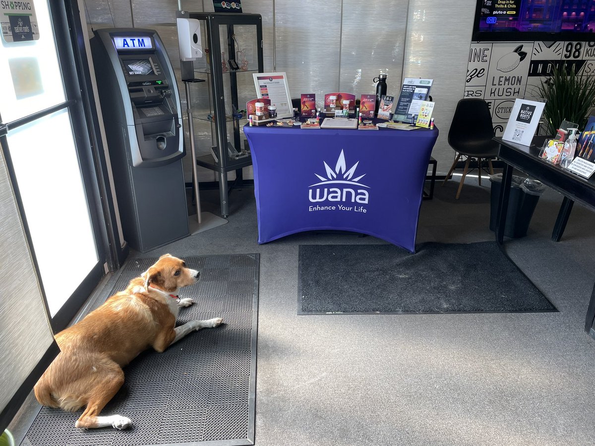 thumbspazm's tweet photo. Nice relaxing day in Aspen at @NativeRoots303 talking about @WanaBrands if you wanna come hang out with me and #BenjiTheDog https://t.co/HuLEmUBy8a