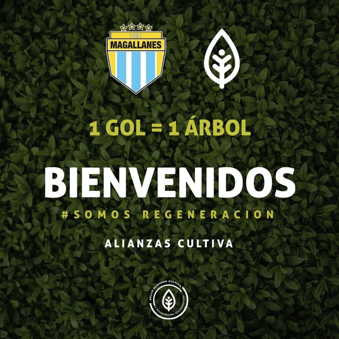 CultivaOrg's tweet image. @ClubMagallanes se comprometió con la acción climática! Por cada gol que haga en partidos oficiales se plantará un árbol nativo ⚽️🌳

La querida academia sigue haciendo historia… ¿se imaginan que todos los clubes del fútbol chileno se sumarán?

Que dicen @ANFPChile, ¿se animan?