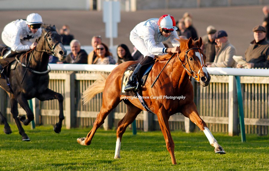 Steven_Cargill's tweet photo. 2nd win for gelding LAWFUL COMMAND @Lsteward4 in 7f 2yo handicap @NewmarketRace today for @coolmorestud Churchill @brianmeehanltd https://t.co/eIMDQyfo7I