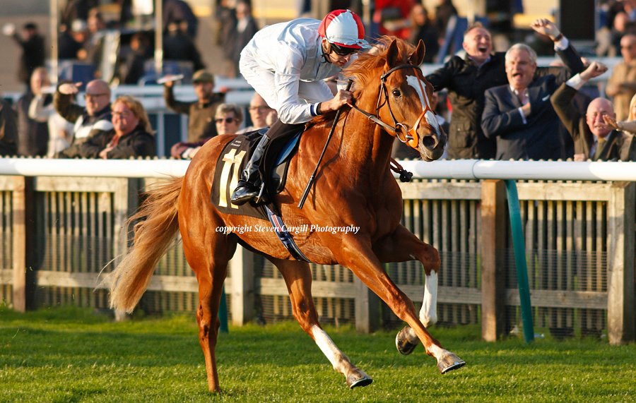 Steven_Cargill's tweet photo. 2nd win for gelding LAWFUL COMMAND @Lsteward4 in 7f 2yo handicap @NewmarketRace today for @coolmorestud Churchill @brianmeehanltd https://t.co/eIMDQyfo7I