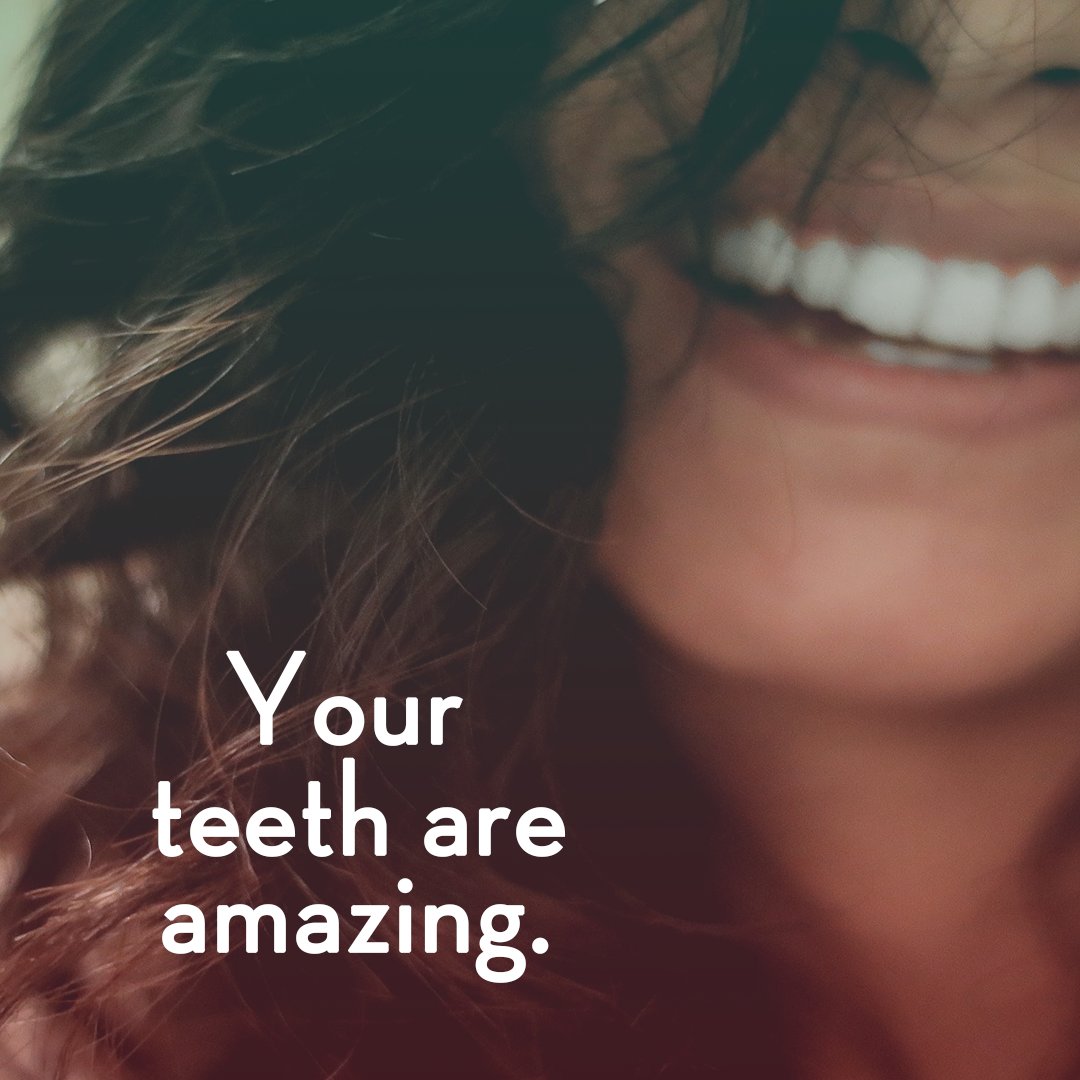Your teeth are already amazing, and we can help keep them that way! Don’t forget to visit us regularly for cleanings and checkups 😁 Call 919-493-1402 to schedule yours!