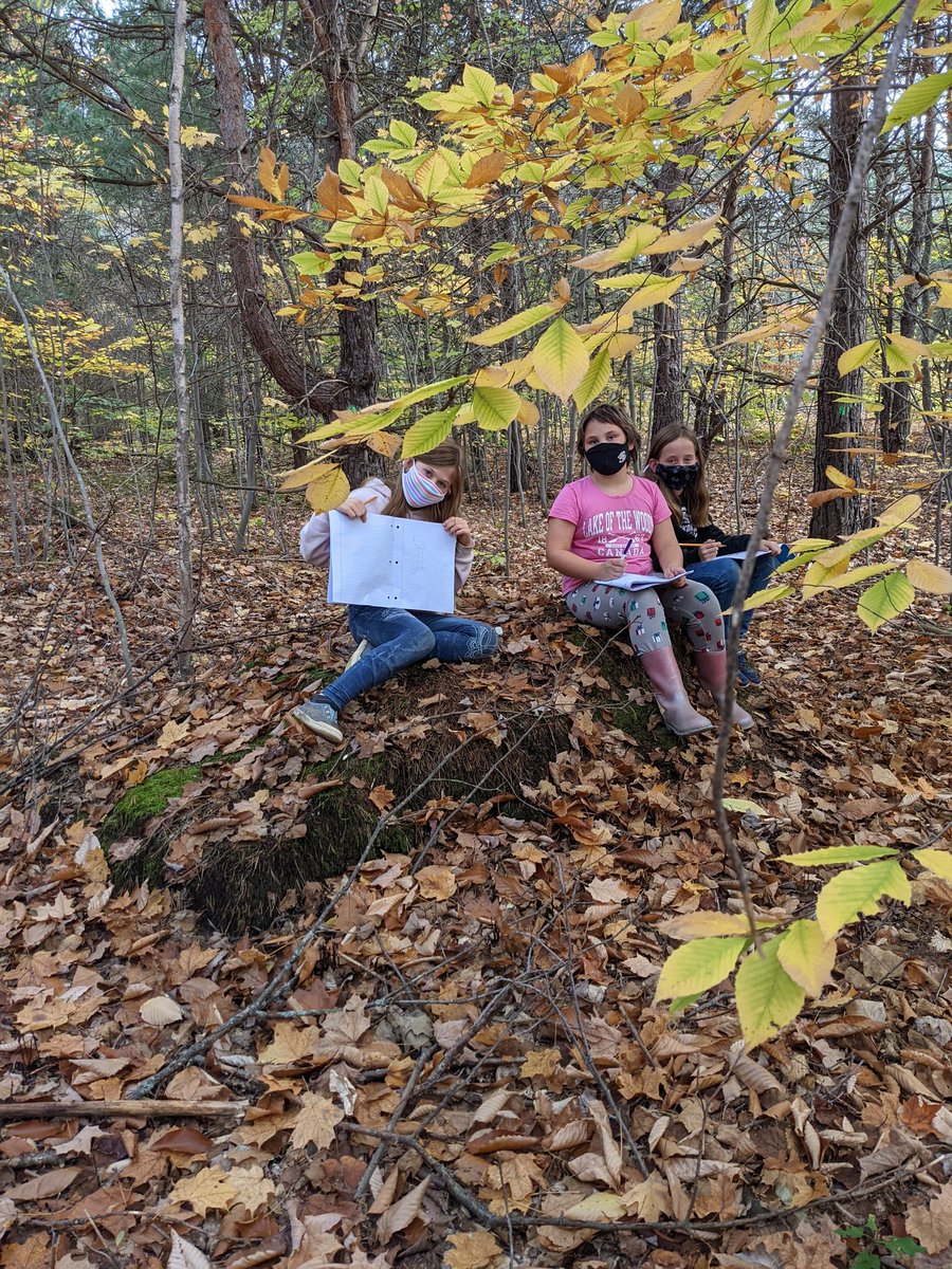 ShieldJanet's tweet photo. #takemeoutside @WattPS @TLDSB 

Grade 4/5 and 6/7/8 drawing pictures to be vocabulary sheets for our next unit...The outdoors. https://t.co/16VZr5tyBs
