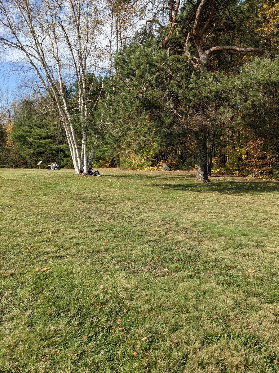 ShieldJanet's tweet photo. #takemeoutside @WattPS @TLDSB 

Grade 4/5 and 6/7/8 drawing pictures to be vocabulary sheets for our next unit...The outdoors. https://t.co/16VZr5tyBs