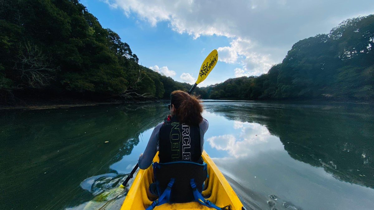 KoruKayaking's tweet photo. Last few #kayak adventures of the season! Autumn as the leaves begin to turn, the wildlife gathers on Frenchman’s Creek and the holly starts to make an appearance for winter. 
Contact us to book. 2 Spaces tomorrow 2.30pm @BudockVeanHotel https://t.co/kaeN0j1Gjo