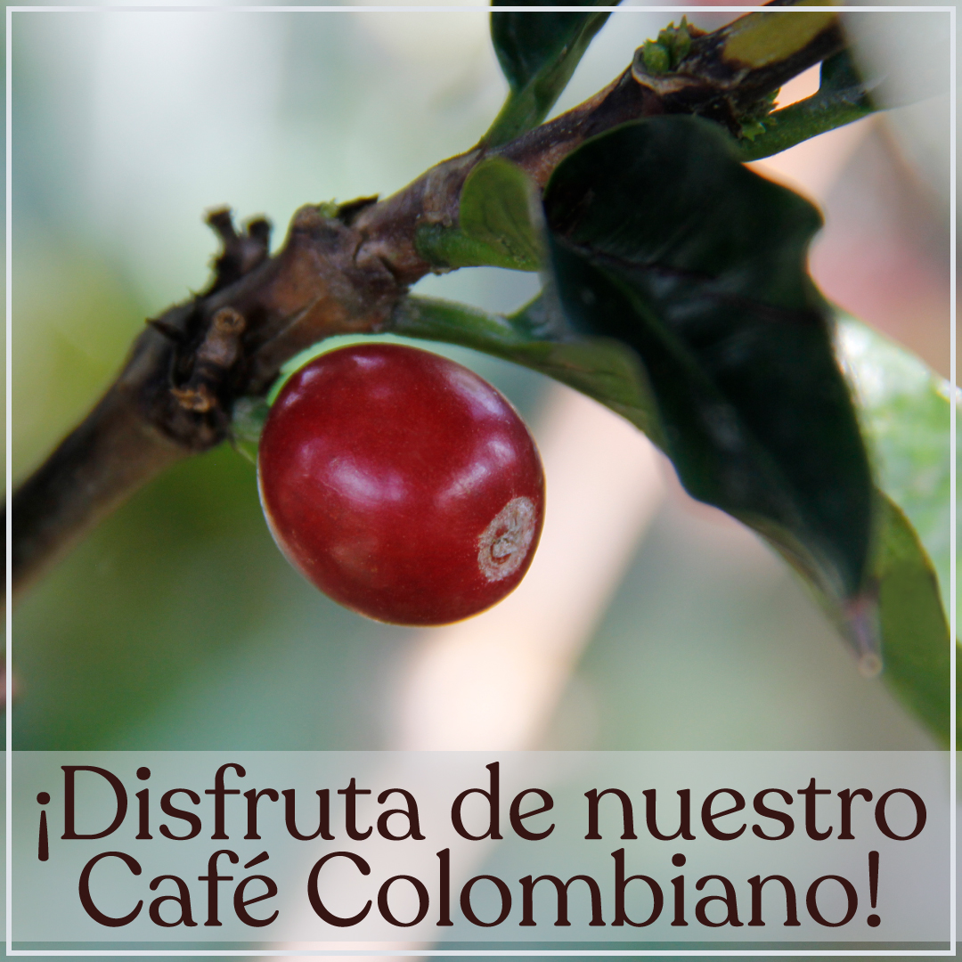 Café Conserva tweet media