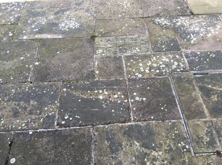 ScottJennings65's tweet image. Patio clean with light jetwash and chemical to lift the black &amp;amp; white lichen. 
#jenningscleaning #patioclean #softwashing