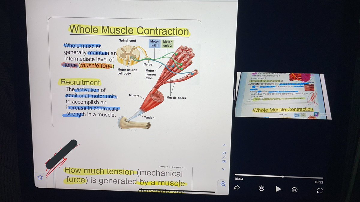 _ReemRA's tweet photo. تحديث بسيط..
عايشين نتعارك مع الجامعه والميدات والكويزات والاسايمنتس ونحاول نلحق على كل شيء يارب التوفيق😢
#PNU - #FYHC https://t.co/gEDXFeEORl
