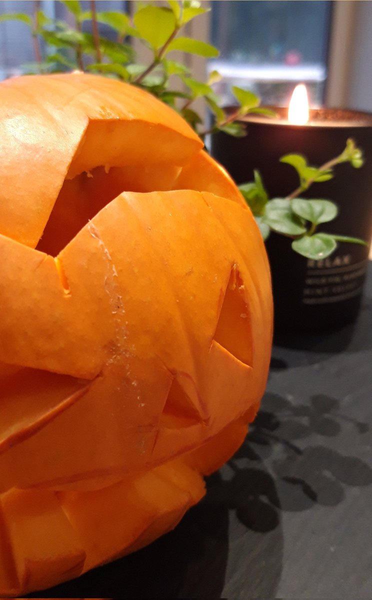 natashabugbee's tweet photo. Halloween has started early, couldn't resist ...🎃 this little fellow 
@WeAreMV_ https://t.co/FRogmUtBu6
