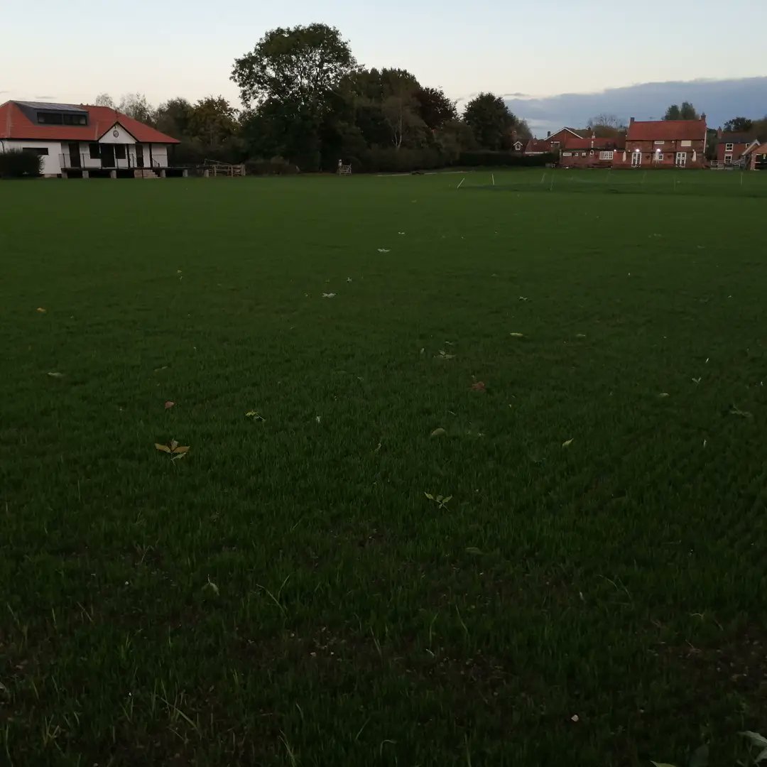 hoveringhamcc's tweet image. Grass is looking beautiful
