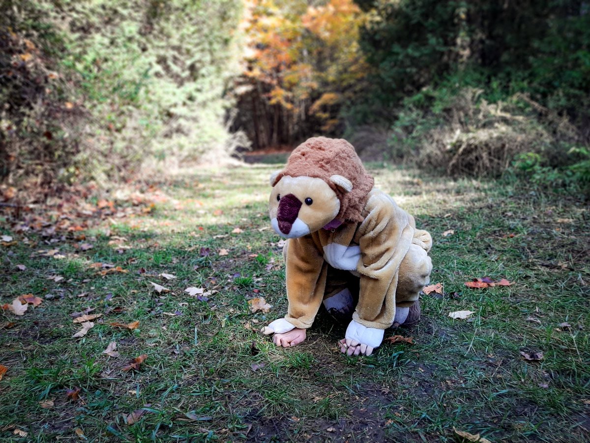 M. Michael Lalonde tweet media