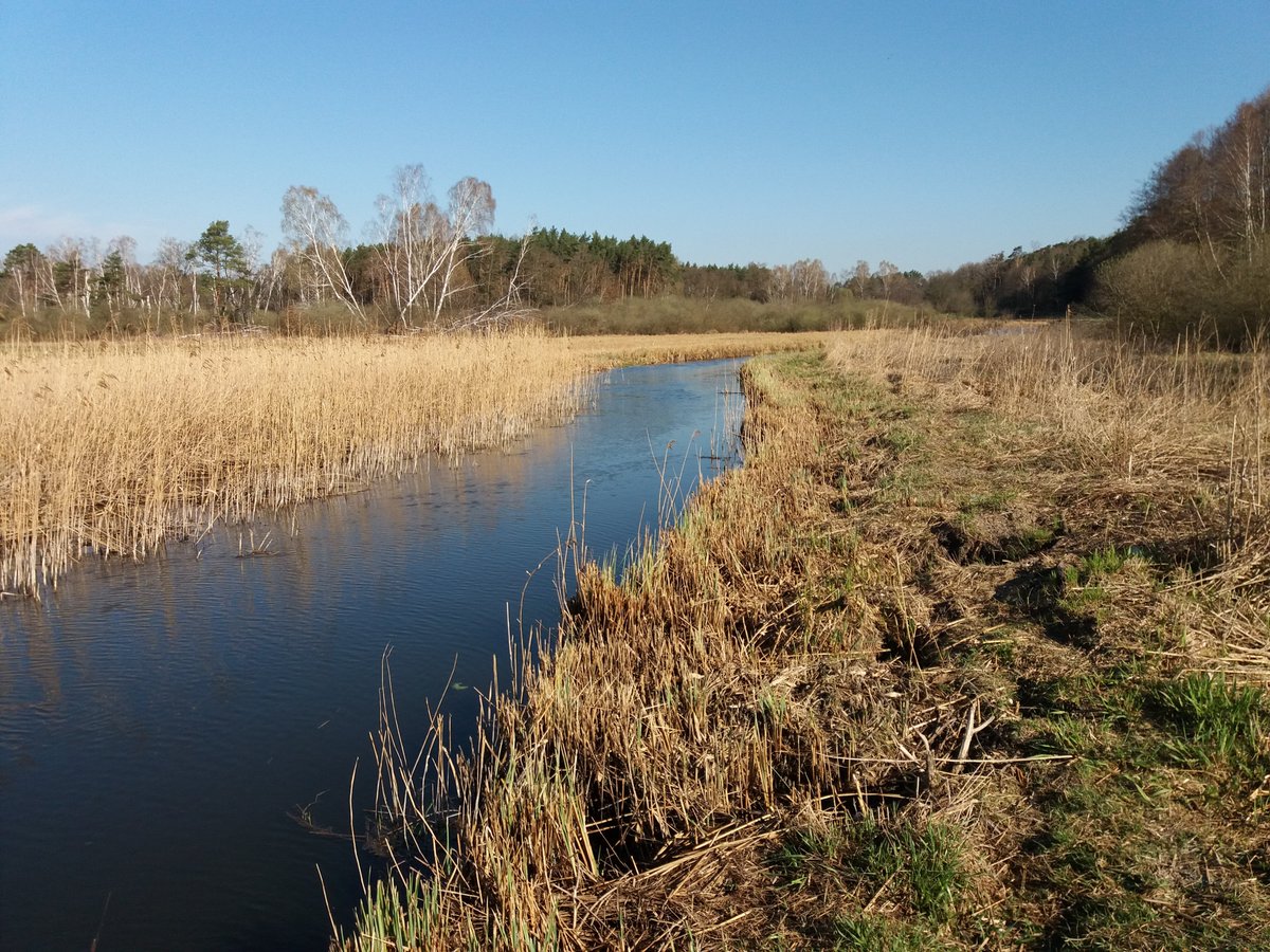 pRUSZKIEWICZ's tweet photo. #landscapeday 
#BeautifulPoland 🇵🇱
Słowiński Park Narodowy
Gościkowo/Lubrza 
Powidzki Park Krajobrazowy
Wełna
#VisitPoland 🇵🇱 ! https://t.co/w9Yjxv7lju
