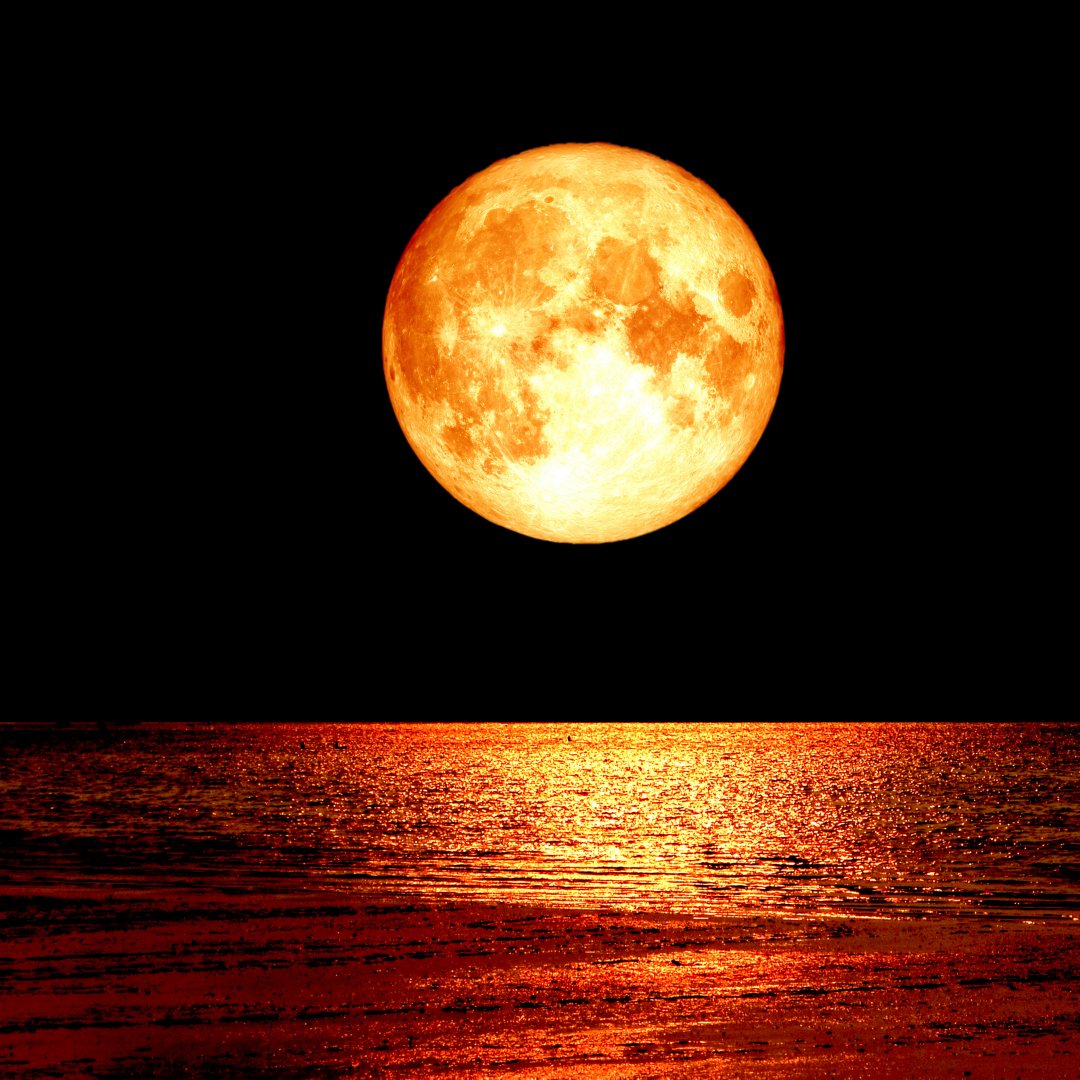 KMW_connect's tweet photo. Continuing the theme of action initiated by the New Moon in Libra, our October Full Moon at 27° Aries is as fiery and as cardinal as it can be. The Full Moon in Aries is opposite Mars and square Pluto, so it’s an explosive one for sure.
#aries #fullmoon #cardinal #explosive https://t.co/2lHH63T9pJ