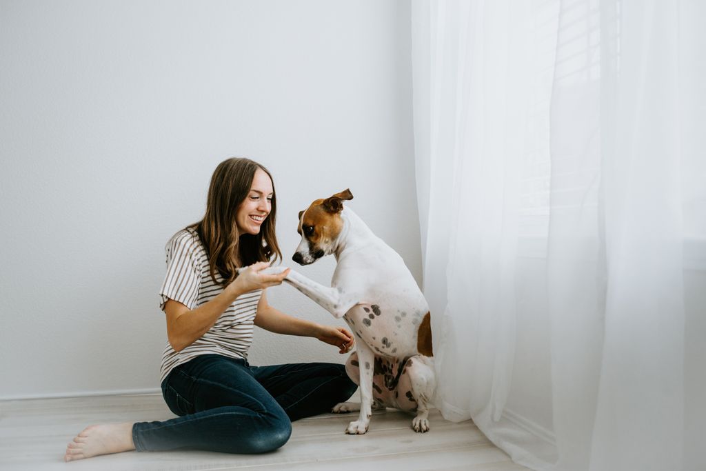 Urine Off Pet Products tweet media