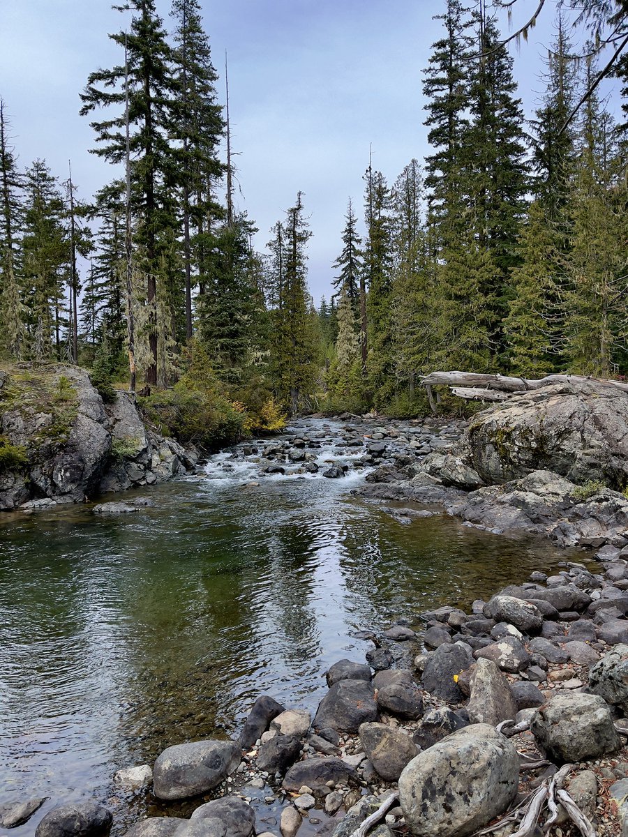 SteveBisig's tweet photo. Cle Elum River, Washington
📱iPhone 12 Max Pro
•
•
•
•
•
•
#nature #nature_lovers #nature_perfection #nature_shooters #naturebeauty #naturegram #naturephoto #naturephotography #natureporn #natureshot #natureshots #naturewalk #visuelearth https://t.co/buubb5Vhhv