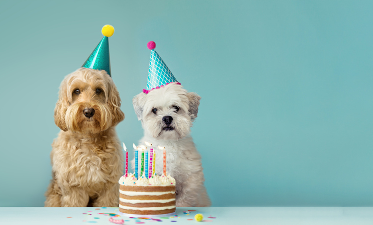 ChiInsurance101's tweet image. Another year around the sun for our friends born in October! From all of us at your favorite Allstate agency, we wish you a very happy birthday. Tag someone below so we can send them our well wishes.