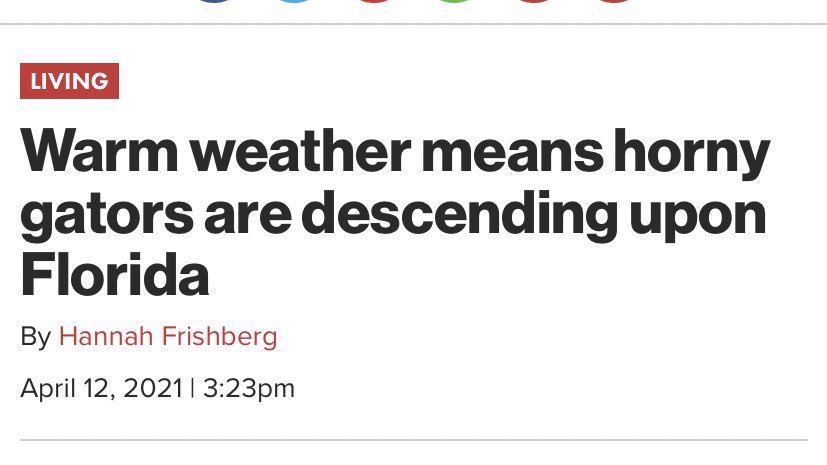 Gators Daily 🐊 tweet media