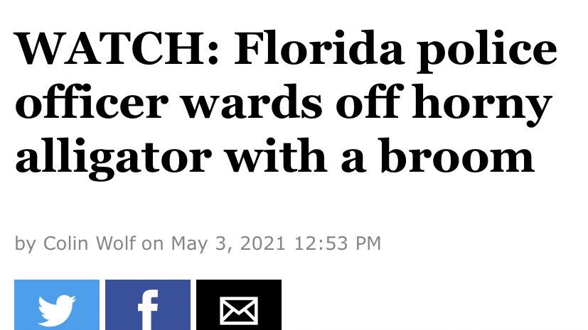 Gators Daily 🐊 tweet media