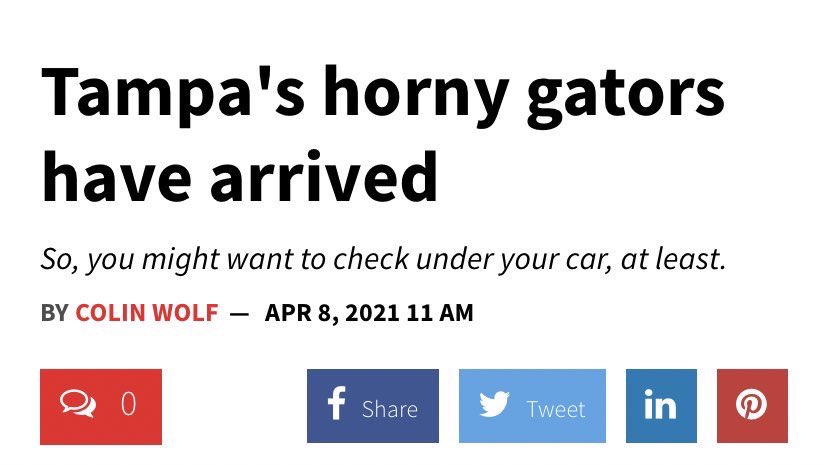 Gators Daily 🐊 tweet media