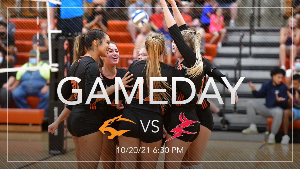 GoNeoshoVB tweet picture
