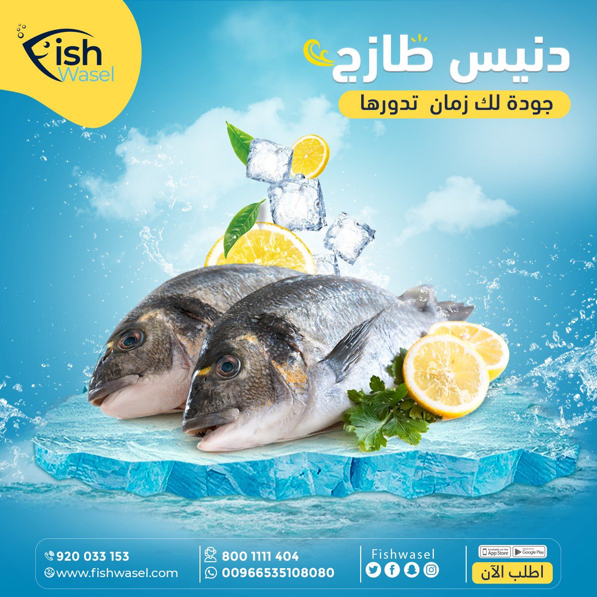 fishwasel's tweet photo. اطلب الحين الدنيس طازج يجيك مثل ما تبيه جاهز ولباب بيتك..

 زور موقعنا الحين واختار الحجم اللي تحتاجه مع خيار التجهيز اللي يناسب الوصفة اللي بتبدع فيها 👨🏼‍🍳

✨جميع طرق الدفع الالكتروني متاحة مع خدمة الدفع عند الاستلام

✨توصيل سريع لجميع مدن وأحياء المنطقة الشرقية ومنطقة الرياض https://t.co/0ZMcEYNmcE