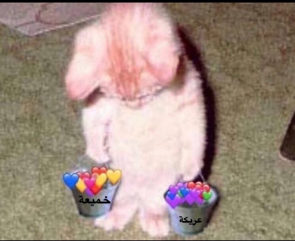 <a href="/M_k__s__a/">‏﮼ســعـــــــد ‏﮼☪︎</a> الحب المدمس 🥲مرحبا مليار بك توو مانور تويتر بطلتك