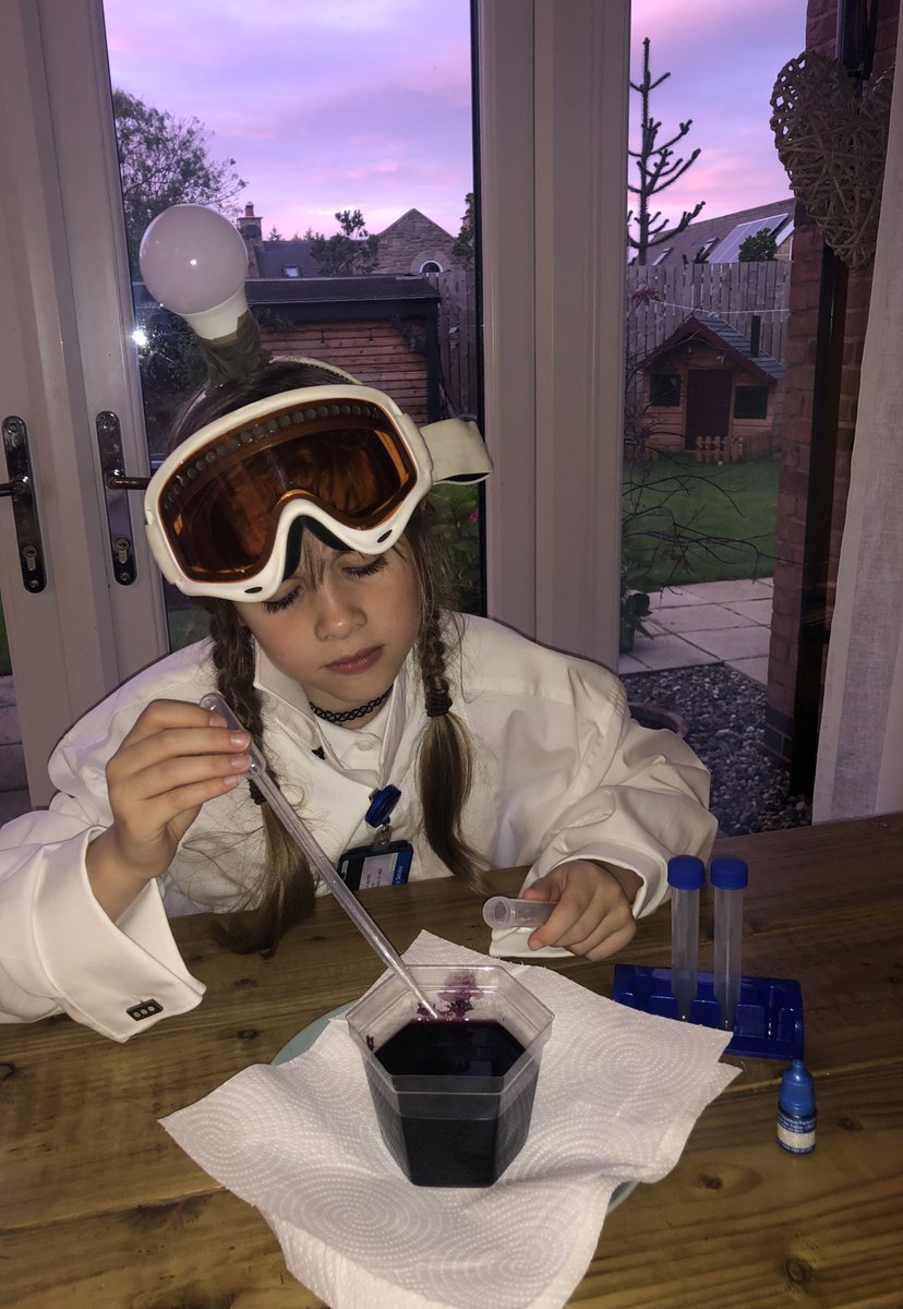 Settledmindsuk's tweet photo. @primarypont                                                 Harper experimenting with crystals, trying to match the evening sky! #pontprimaryscientists https://t.co/1EPgUq8odq
