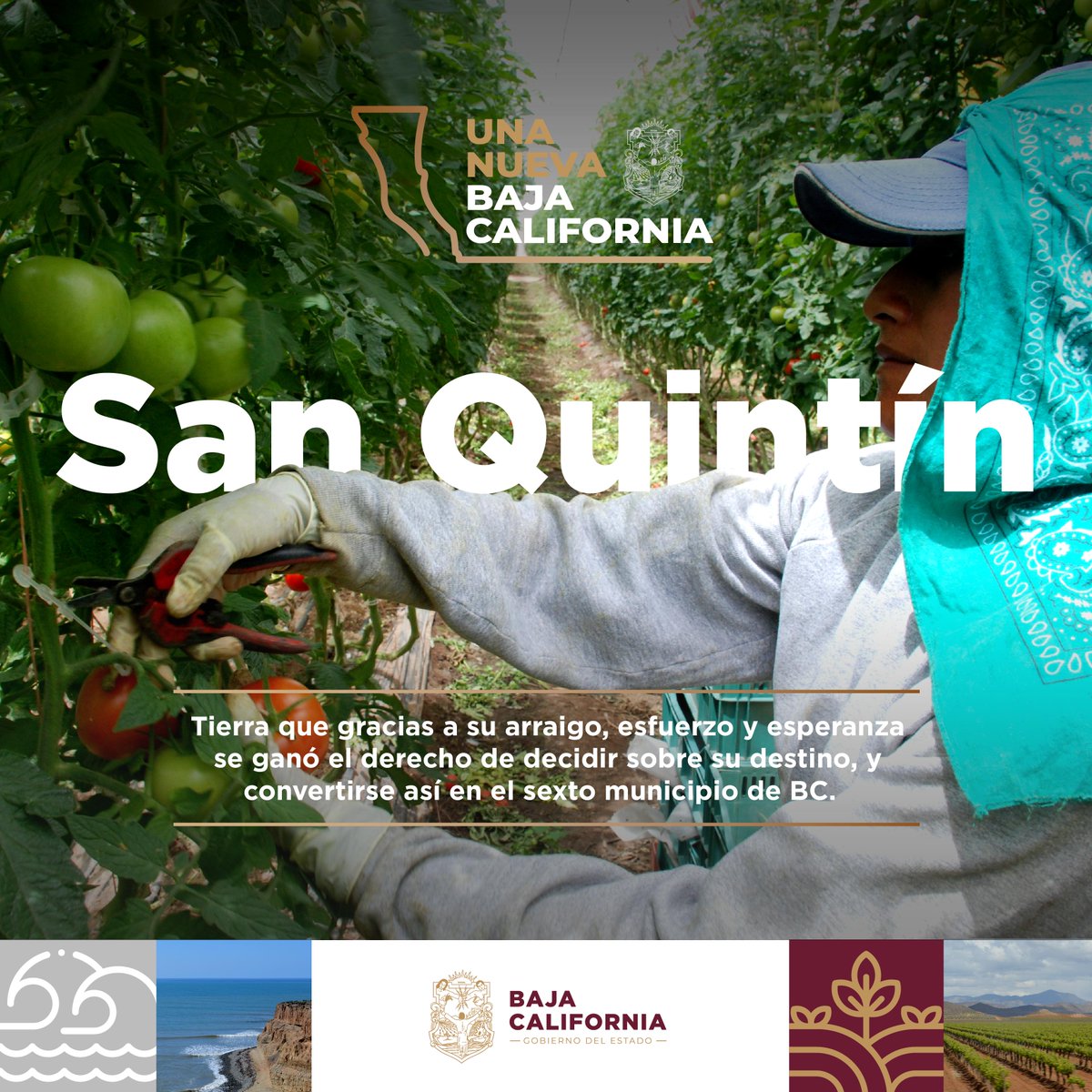 San Quintín es tierra de excepcionales virtudes agrícolas e interculturales, que hoy rige su propio destino al ser el sexto municipio de Baja California. 
     
#UnaNuevaBajaCalifornia
